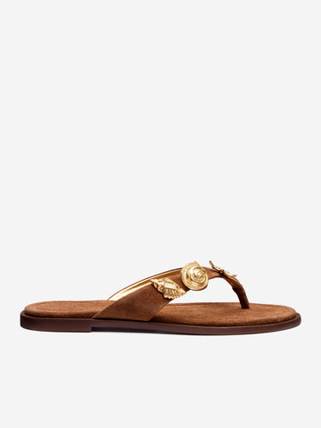 jessie thong sandal