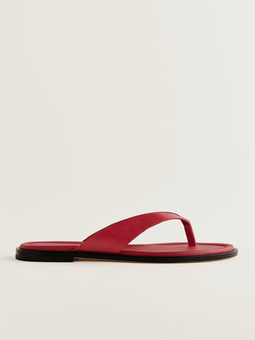 jessie thong sandal